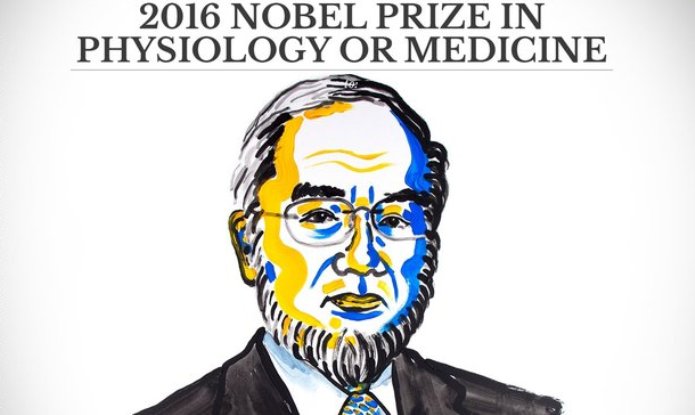 Названо имя лауреата Нобелевской премии по физиологии и медицине
